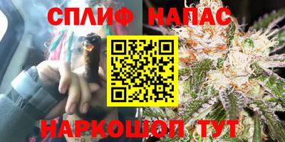 тгк Кинель
