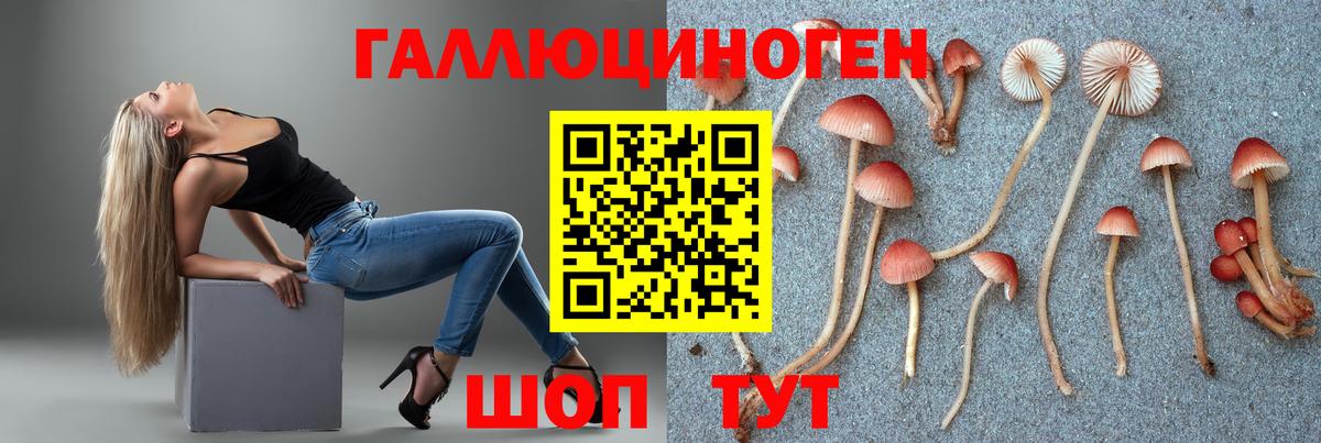 Псилоцибиновые грибы Psilocybe Юрга